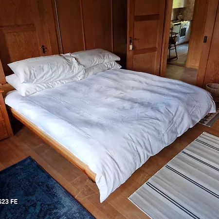 Διαμέρισμα Traditional Ski Chalet In Wengen - Ground Floor