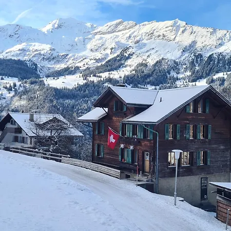 Traditional Ski Chalet In Wengen - Ground Floor Διαμέρισμα