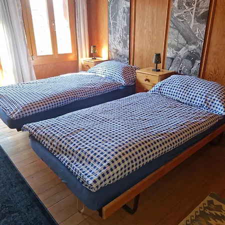 Traditional Ski Chalet In Wengen - Ground Floor * Βένγκεν