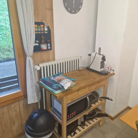 Traditional In - Parterre Or Ground Apartment *