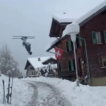Traditional In - Parterre Or Ground Appartamento Wengen